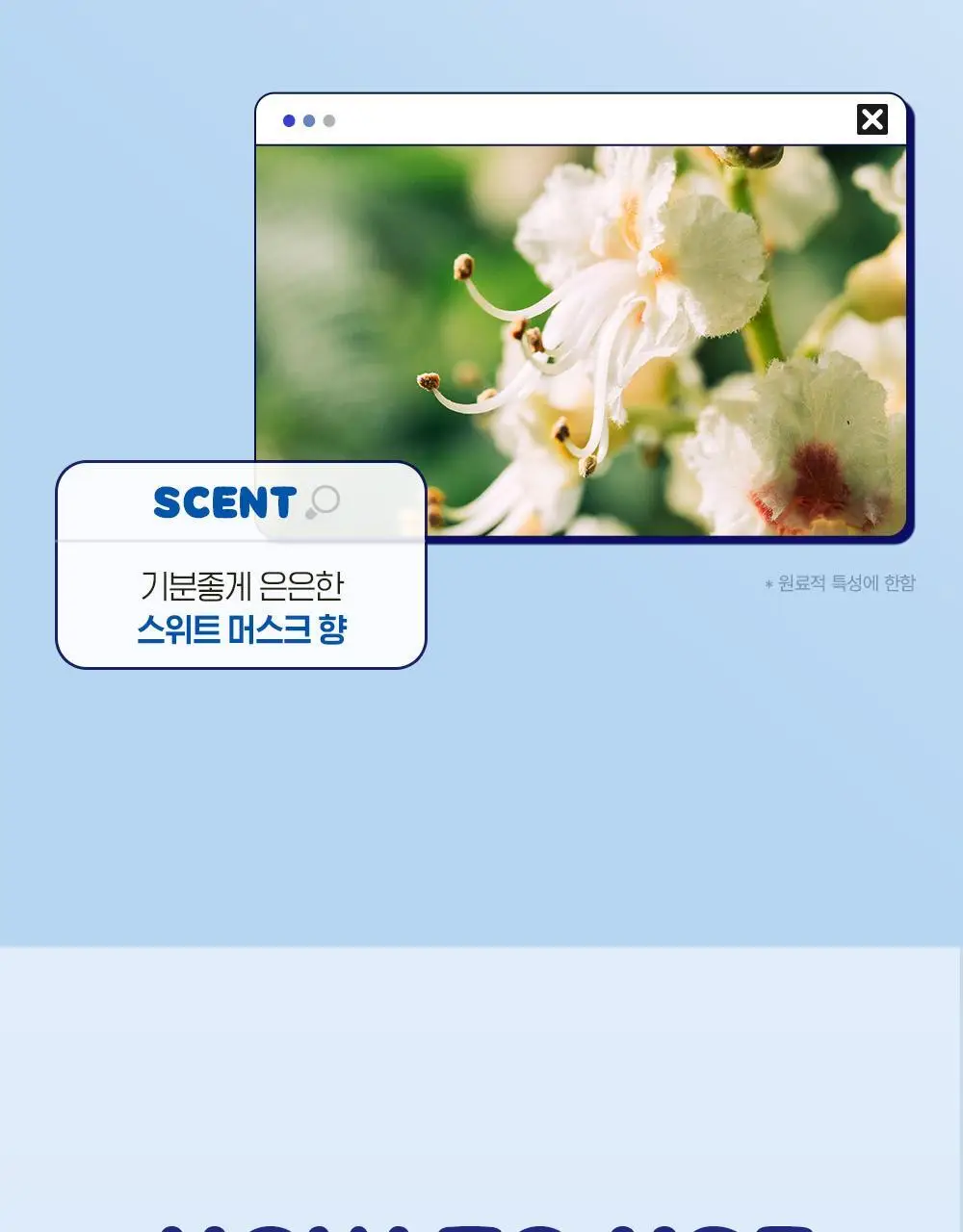 [포켓몬 에디션]다슈 데일리 볼륨업 컬크림 150ml(+피카츄 돗자리) 상세페이지 18